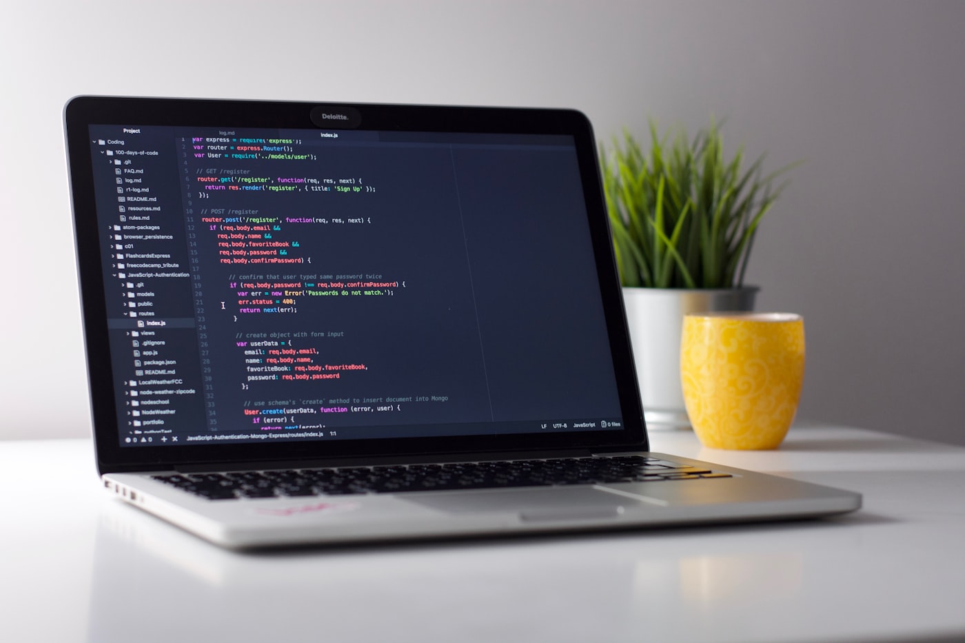 Laptop with code beside a plant